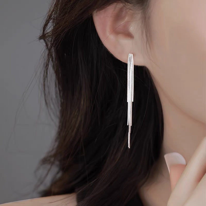 Fangxing S925 sterling silver new trendy line earrings, niche design with tassel studs, women's light luxury high-end earrings