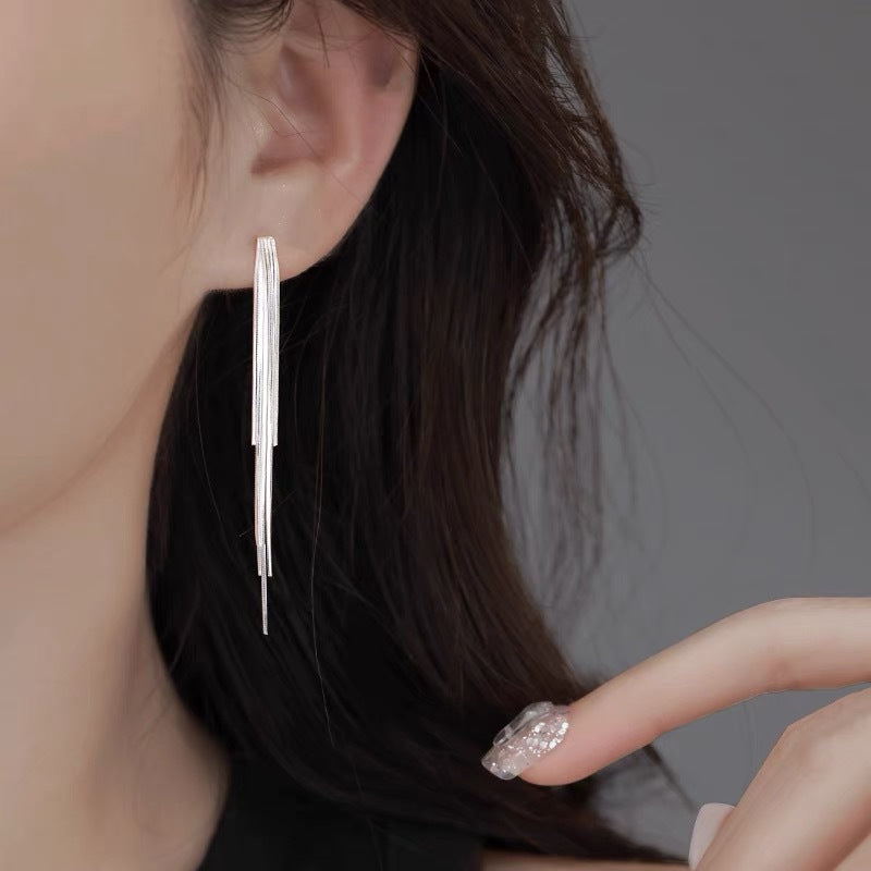 Fangxing S925 sterling silver new trendy line earrings, niche design with tassel studs, women's light luxury high-end earrings