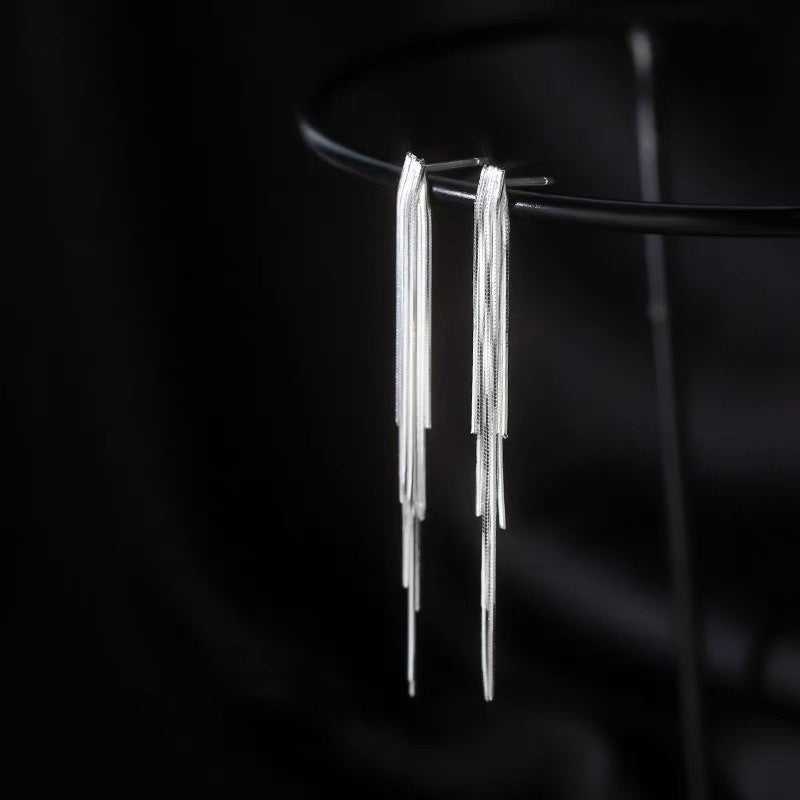 Fangxing S925 sterling silver new trendy line earrings, niche design with tassel studs, women's light luxury high-end earrings